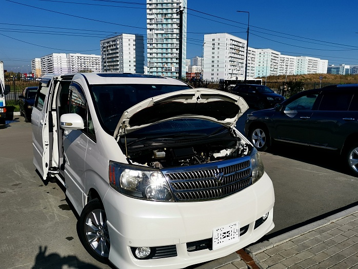ДОКУМЕНТЫ по ТЕЛЕФОНУ – Проверка Toyota Alphard V6